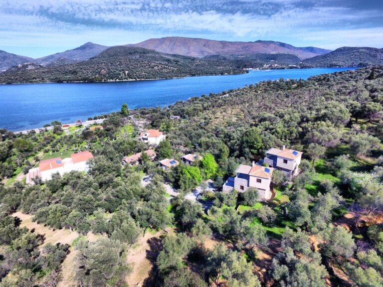 Gera's Olive Grove (Elaionas Tis Geras) - Κόλπος Γέρας
